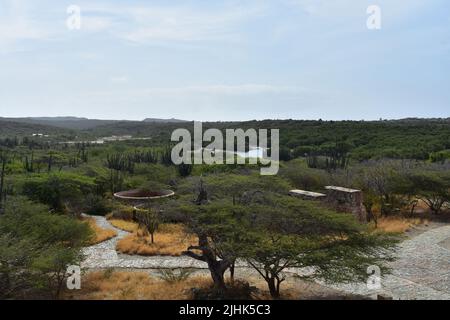 Alte historische Ruinen der Goldmine Balashi in der Wüste von Aruba. Stockfoto