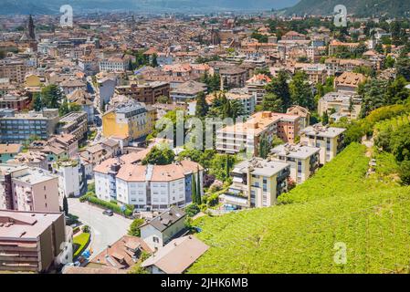 Weinrebenfeld neben der Stadt Bozen, Südtirol, Trentino-Südtirol - Südtirol, Italien, Europa Stockfoto