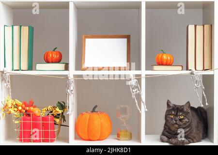 Heim Inneneinrichtung für Halloween. Weiße Regale schwarze Katze Fotorahmen Bücher Kürbisse. Stockfoto