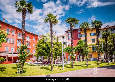 Torbole Platz mit Palmen. Torbole. Nago-Torbole ist eine Gemeinde im Trentino in der norditalienischen Region Trentino-Südtirol/Südtirol Stockfoto
