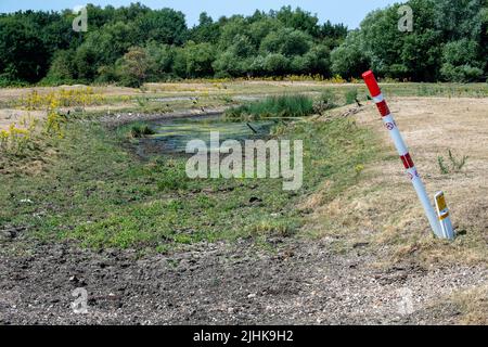 Dorney, Buckinghamshire, Großbritannien. 19.. Juli 2022. Der Roundmoor-Grabenstrom, der normalerweise von Rindern zum Trinken und Abkühlen genutzt wird, trocknet auf dem Dorney Common aus. Die Temperaturen in Dorney, Buckinghamshire, lagen heute Nachmittag bei über 40 Grad, da Großbritannien den heißesten Tag aller Zeiten verzeichnete. Quelle: Maureen McLean/Alamy Live News Stockfoto