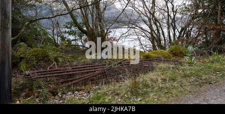 Alte Pfosten und Zäune wurden als Schrott am Straßenrand von Carrick Castle, Lochgoilhead, abgeladen. Argyll und Bute. Schottland Stockfoto