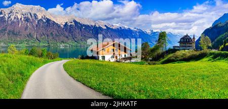 Idyllische Schweizer Naturlandschaft - grüne Wiesen umgeben von Alpen-Bergen. Landschaftlich schöner Brienzer See, Iseltwald Dorf Stockfoto