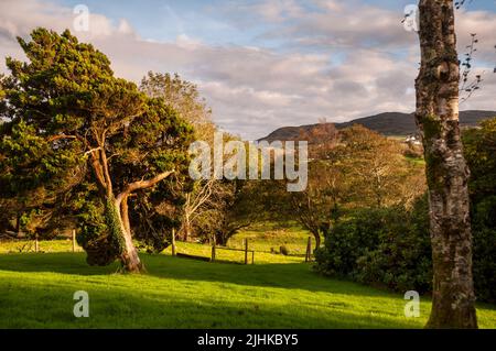 Donegal Mountains in Ardara, Irland. Stockfoto