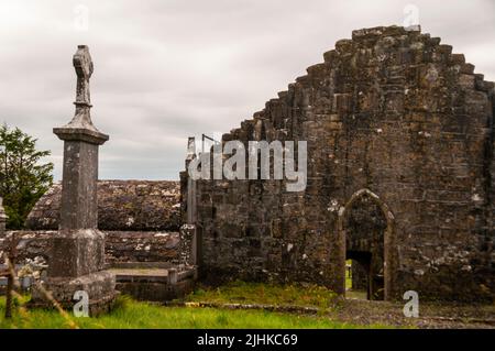 Spitz gewölbter Eingang und corbie-Giebelstein an den Ruinen der Carmelite Abbey of Ballinassmalla im County Mayo, Irland. Stockfoto