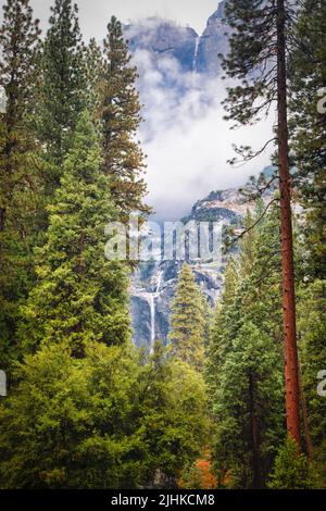 Der obere und untere Yosemite fällt über die scheren Klippen des Yosemite Valley im Yosemite National Park, Kalifornien. Stockfoto