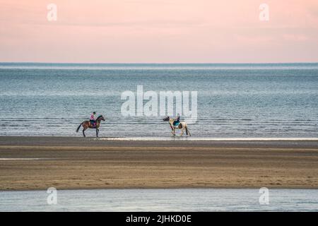 Rennpferde galoppieren am Morgen auf einem Sandstrand und Meer Stockfoto