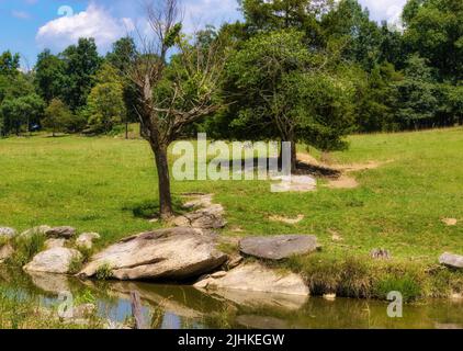 Landschaft eines ländlichen Feldes mit einem kleinen Teich im ländlichen Tennessee Stockfoto