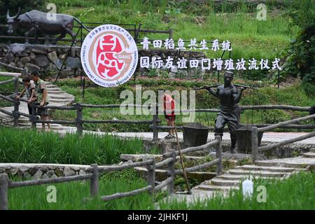 (220719) -- QINGTIAN, 19. Juli 2022 (Xinhua) -- Menschen besuchen ein Schutzgebiet des Reis-Fisch-Kokultur-Systems im Landkreis Qingtian, ostchinesische Provinz Zhejiang, 18. Juli 2022. Das Reis-Fisch-Kokultur-System in Qingtian hat eine Geschichte von mehr als 1.300 Jahren und wurde in die weltweit erste Gruppe der Global Important Agricultural Heritage Systems (GIAHS) aufgenommen, die 2005 von der Ernährungs- und Landwirtschaftsorganisation der Vereinten Nationen (FAO) ernannt wurde. Qingtian, im Südwesten von Zhejiang, verfügt über ausreichende Wasserressourcen und eine terrassenförmige Landschaft. Das Kokultur-System von Reis und Fisch Stockfoto