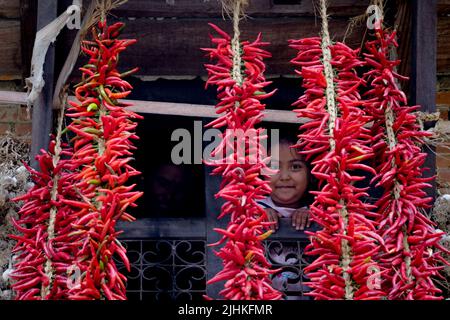 Lalitpur, Nepal. 19.. Juli 2022. Am 19. Juli 2022 in Lalitpur, Nepal. Ein Mädchen schaut durch das Fenster, wo rote Chilis zum Trocknen aufbewahrt werden, nachdem sie im Altetal von Khokhana gewebt wurden. (Foto: Abhishek Maharjan/Sipa USA) Quelle: SIPA USA/Alamy Live News Stockfoto