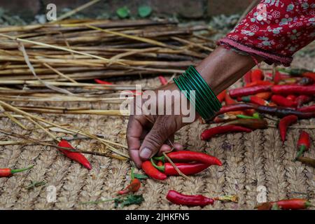 Lalitpur, Nepal. 19.. Juli 2022. Am 19. Juli 2022 in Lalitpur, Nepal. Frauen im alten Tal von Khokhana weben rote Chilis in ihrem Haus, um sie zu trocknen. (Foto: Abhishek Maharjan/Sipa USA) Quelle: SIPA USA/Alamy Live News Stockfoto