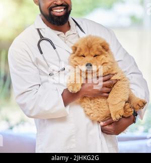 Shes das gesündeste Mädchen. Ein nicht erkennbarer Tierarzt untersucht einen Hund in ihrem Büro. Stockfoto