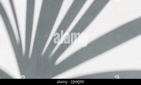 Schwarz und Weiß abstrakt Hintergrund textuer der Schatten Lamelle auf einer Betonwand Stockfoto