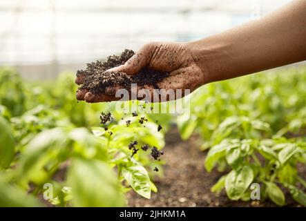 Nahaufnahme von Schmutz, der aus der Hand eines Bauern fällt. Hand des Bauern, der die Bodenqualität überprüft. afroamerikanischer Bauer in einem Gewächshausgarten. Landwirt Stockfoto