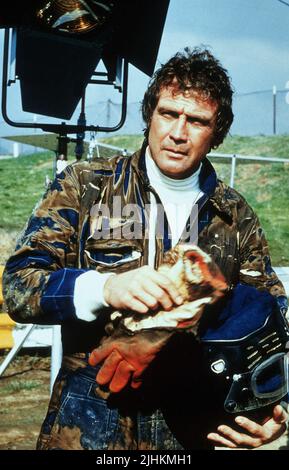 LEE MAJORS, FALL GUY, 1981 Stockfoto