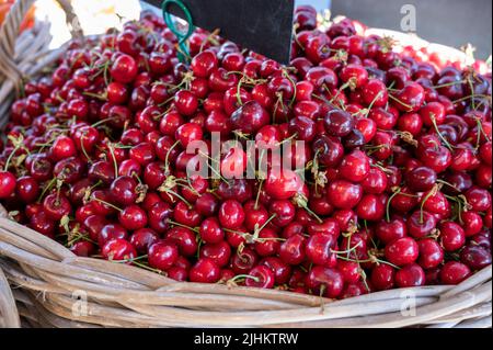 Neue Saison von reifen roten süßen Kirschen Sommerfrüchte, Kirsche zum Verkauf auf dem Bauernmarkt Stockfoto
