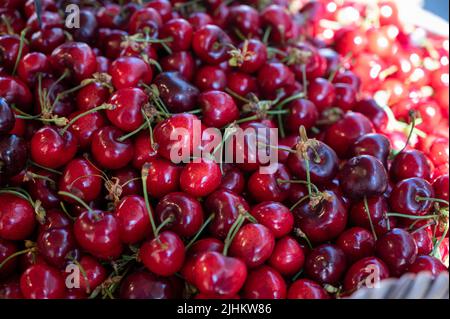 Neue Saison von reifen roten süßen Kirschen Sommerfrüchte, Kirsche zum Verkauf auf dem Bauernmarkt Stockfoto