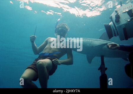 LEONARDO DICAPRIO, SHARK, DER STRAND, 2000 Stockfoto