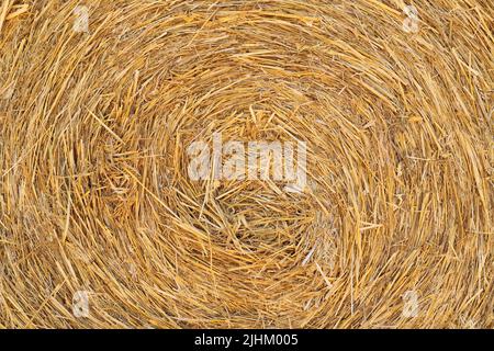 Strohballen auf dem Feld gestapelt Stockfoto