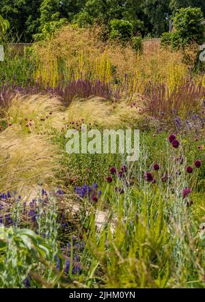 Pflanzen im Stil einer Vorpflanzung im ummauerten Garten bei RHS Bridgewater, Salford. VEREINIGTES KÖNIGREICH Stockfoto