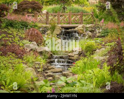 Holzbrücke über einen Bach im chinesischen Streamside Garden. RHS Bridgewater. Salford. VEREINIGTES KÖNIGREICH Stockfoto