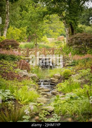 Holzbrücke über einen Bach im chinesischen Streamside Garden. RHS Bridgewater. Salford. VEREINIGTES KÖNIGREICH Stockfoto