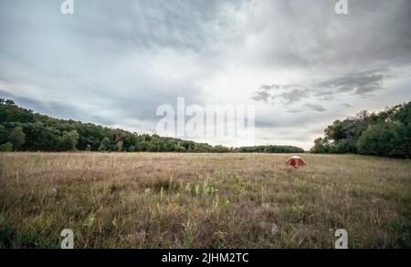 Rotes Zelt bei stürmischem bewölktem Himmel an einem Herbstabend im Wild River State Park in der Nähe von Almelund, Minnesota, USA. Stockfoto