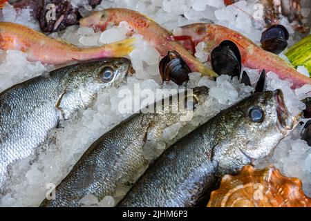 Frischer Fisch auf Eis in einer griechischen Taverne, frisch gefangener Fisch, Fischmarkt, Fisch und Eis, frischer Fisch zum Verkauf, Marktfischstand. Stockfoto