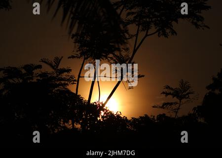 der mond geht auf und wird durch tropische Bäume auf schwarzem Hintergrund gesehen Stockfoto
