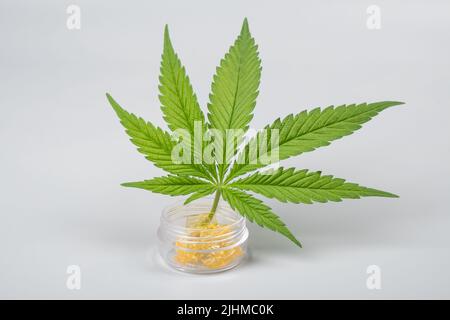 Grünes Blatt und hoher thc-Cannabis tupfen in Glasbehälter, Wachs extrahieren. Stockfoto