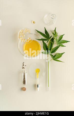 CBD-Öl, THC-Tinktur, Hanfsamen in runden Laborbechern, Marihuanablätter Stockfoto