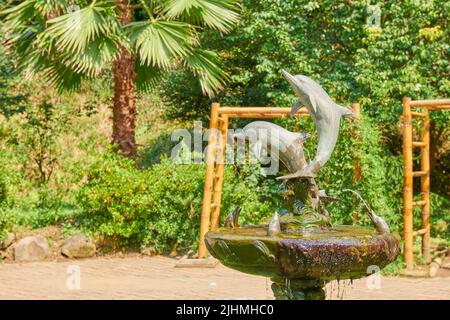 Springbrunnen mit Delfinen im botanischen Garten in Batumi Stockfoto