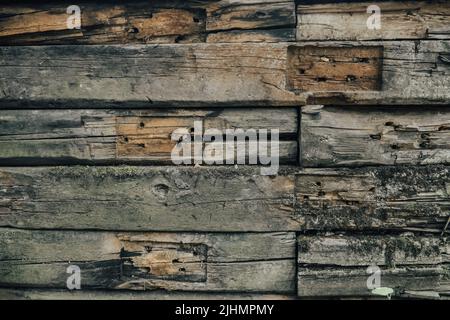 Die Textur eines alten Baumes. Stockfoto