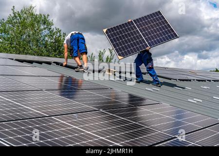 Installation von Solarmodulen auf dem Dach einer Scheune, einer Farm, über 240 Photovoltaikmodule sind auf dem Dach installiert, NRW, Deutschland Stockfoto