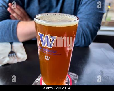 Seattle, WA USA - ca. Juni 2022: Nahaufnahme eines schaumigen Bieres in einem Glas der University of Washington in einer lokalen Bar. Stockfoto