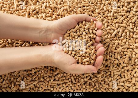 Weibliche Hände halten Holzpellets. Eine Handvoll Holzpellets in den Händen einer Person. Organischer Biokraftstoff aus verdichtetem Sägemehl. Alternative Energie. Stockfoto