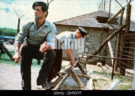 SYLVESTER STALLONE, SIEG, 1981 Stockfoto