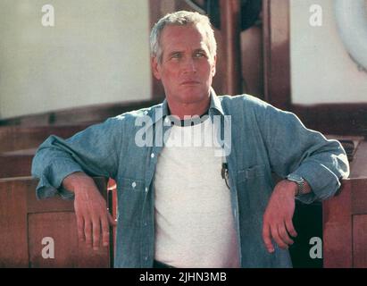 PAUL NEWMAN, Fehlen von Bosheit, 1981 Stockfoto