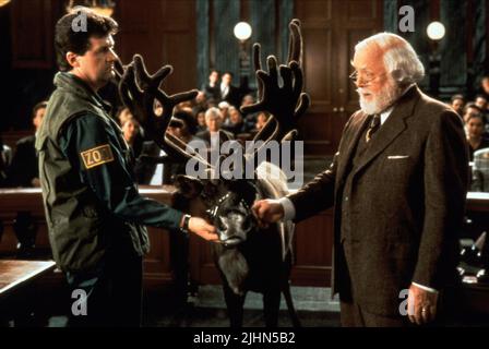 Rentier, Richard Attenborough, Wunder auf 34TH STREET, 1994 Stockfoto