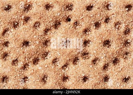 Textur von Roggenknusprig mit zerdrückten Flachs-, Sesam- und Sonnenblumenkernen. Dietetic Cracker Stockfoto