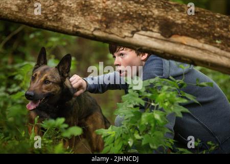 JOSH WIGGINS, MAX, 2015 Stockfoto