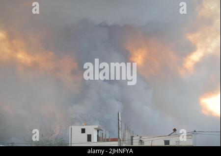 (220719) -- HAMMAM-LIF (TUNESIEN), 19. Juli 2022 (Xinhua) -- das Foto vom 19. Juli 2022 zeigt den Rauch, der aus einem Waldbrand in Hammam-Lif, Provinz Ben Arous, Tunesien, steigt. (Xinhua) Stockfoto