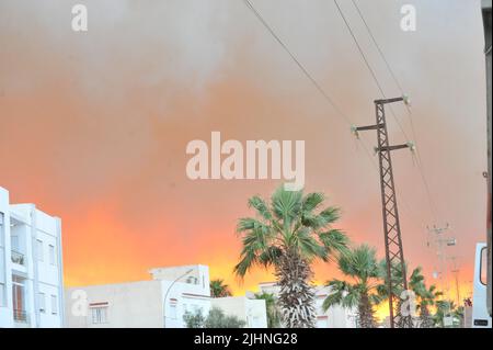 (220719) -- HAMMAM-LIF (TUNESIEN), 19. Juli 2022 (Xinhua) -- das am 19. Juli 2022 aufgenommene Foto zeigt einen Waldbrand in Hammam-Lif, Provinz Ben Arous, Tunesien. (Xinhua) Stockfoto