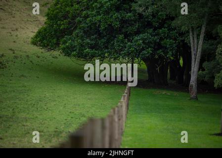 Ein Holzzaun trennt zwei Felder mit Auckland City Limits, Neuseeland Stockfoto