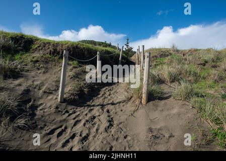 Sand sammelt sich langsam auf Wegen zum und vom Strand in Piha, in der Nähe von Auckland, Neuseeland. Stockfoto