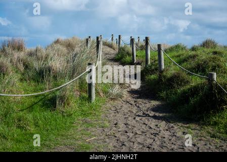 Sand sammelt sich langsam auf Wegen zum und vom Strand in Piha, in der Nähe von Auckland, Neuseeland. Stockfoto