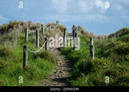 Sand sammelt sich langsam auf Wegen zum und vom Strand in Piha, in der Nähe von Auckland, Neuseeland. Stockfoto