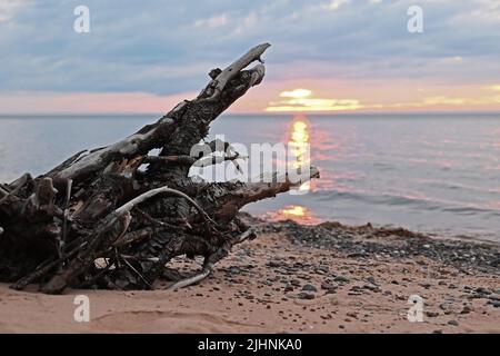 Driftwood am Strand, während die Sonne am Lake Superior bei Sonnenuntergang am Apostle Island National Lakeshore reflektiert. Stockfoto