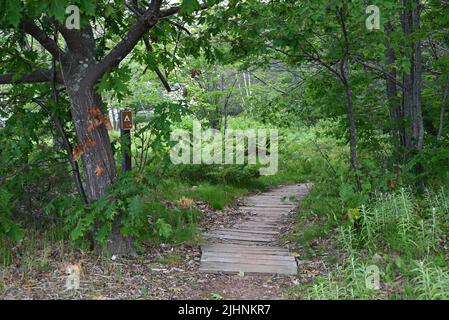 Camp Schild und Pfad auf Oak Island am Apostle Islands National Lakeshore in Lake Superior. Stockfoto