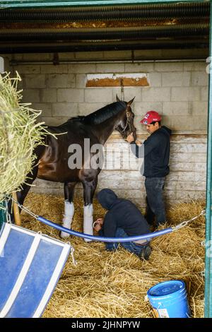 Lexington, Kentucky, 7. April 2022: Zwei Stallarbeiter, die in Keeneland Stables in Lexington, Kentucky, ein Rennpferd besuchten Stockfoto